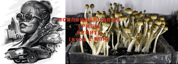 кокс Нефтекумск