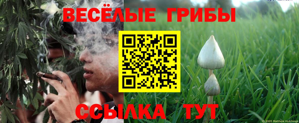 Галлюциногенные грибы мицелий Шуя