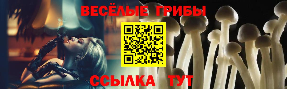 Бошки Шишки  Шуя  Магазины продажи наркотиков  Вход с VPN  МЕФ кристаллы  ГАШИШ 