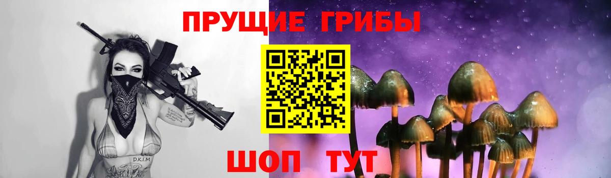 Галлюциногенные грибы Cubensis  наркотики  Шуя  Псилоцибиновые грибы MAGIC MUSHROOMS 